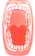 Caries, ¿Cómo es un diente?