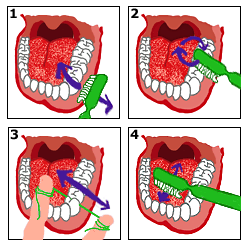 como cepillarse los dientes